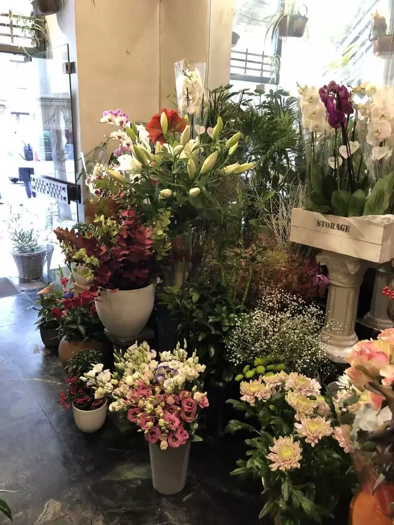 Floristería Otegui - Kolon Pasealekua