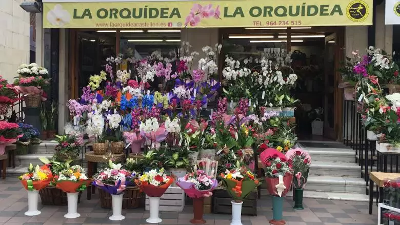 Floristería La Orquídea Castellón - Plaça de Santa Clara