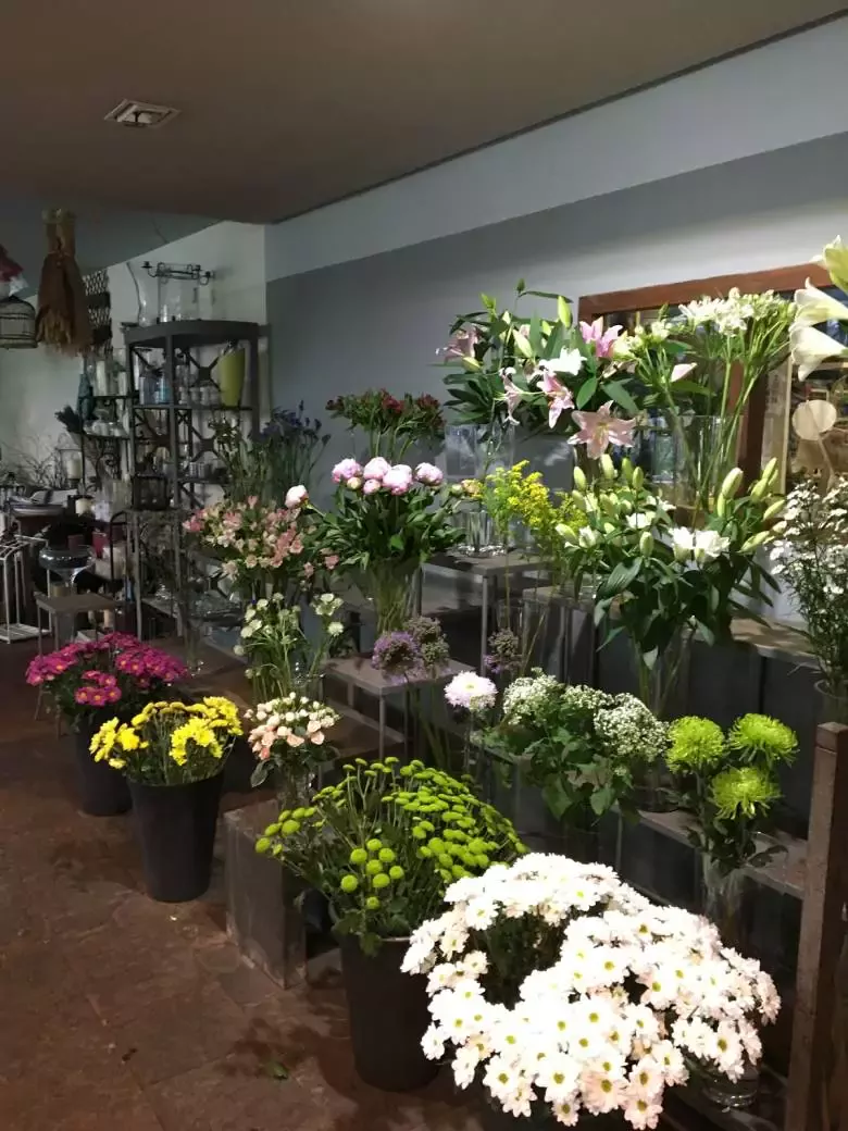 Rebolledo Floristería y Centro de Jardinería