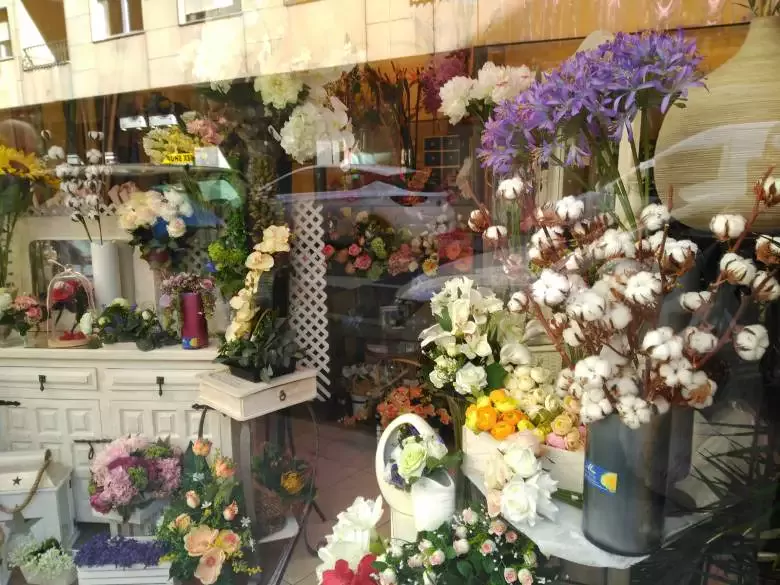 Mayo Floristerías - C. Valencia