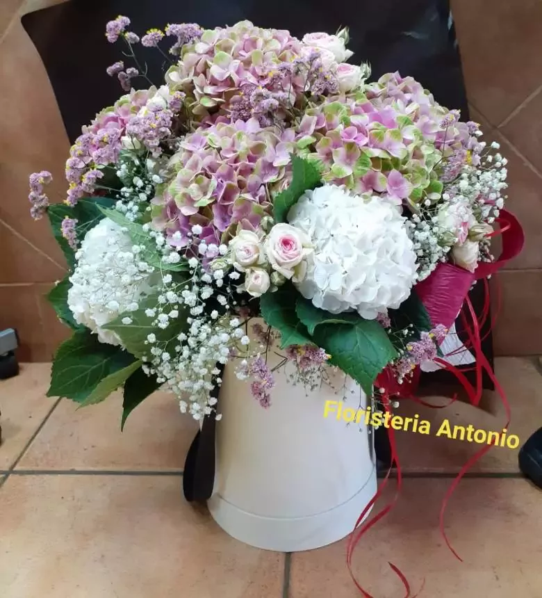 Flores Antonio - Av. Marqués del Duero