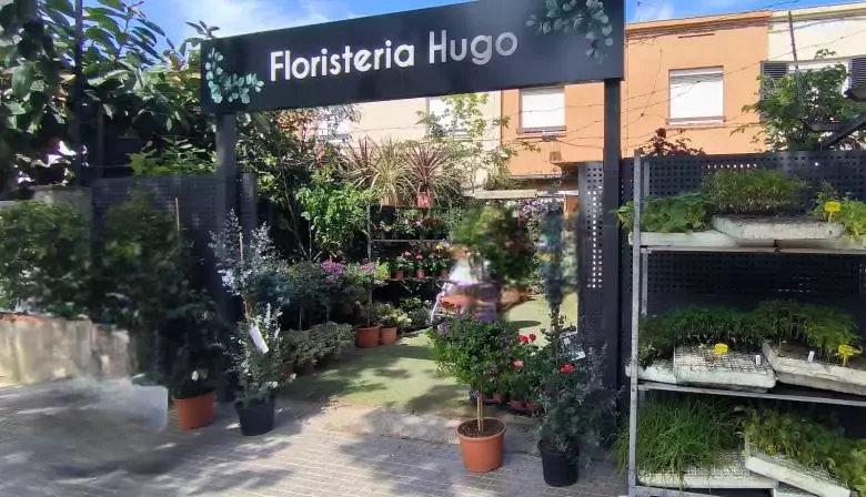 Floristería Hugo - Avinguda de Pere el Cerimoniós