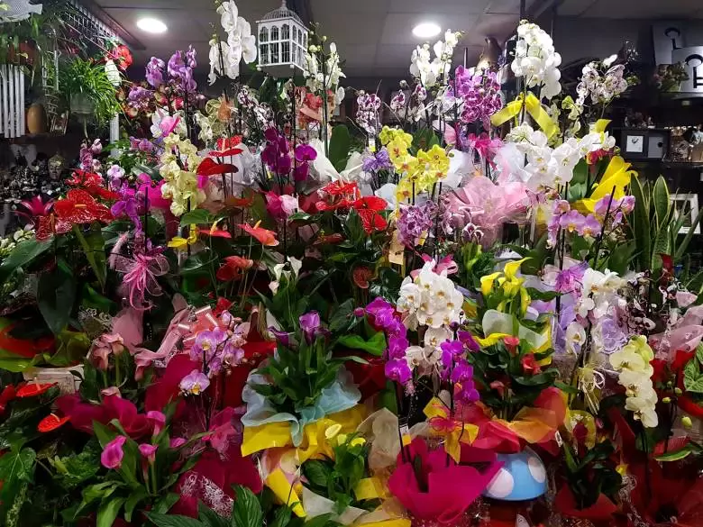 Floristería Samarcanda - Av. Quevedo