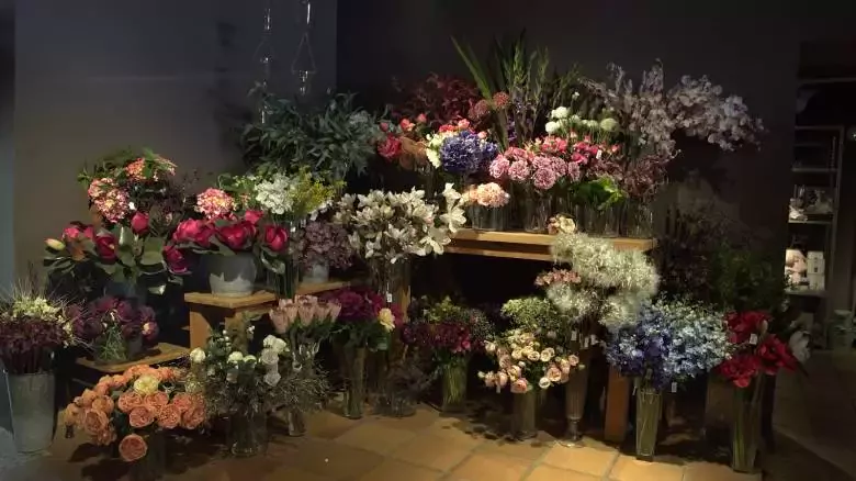 Floristería Frèsia - Mataró - C. d'En Palau