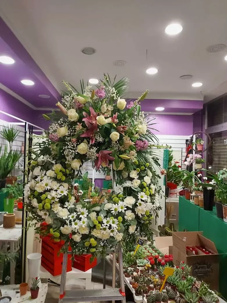 Flores y Plantas Mariflor