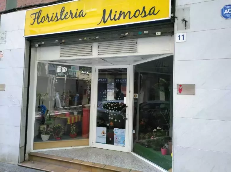 Florist Mimosa - 17005 Girona