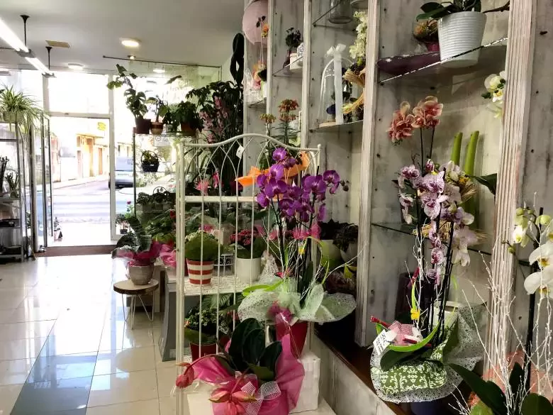 Floristería Candea Lugo - Av. de A Coruña