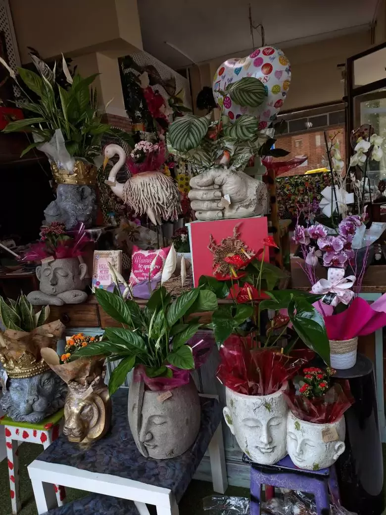 Floristería San Vicente