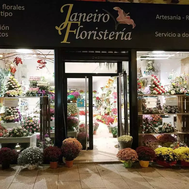 JANEIRO FLORISTERIA - la bajo