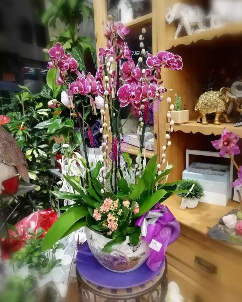 Sabin.Primera Floristería En Barakaldo - Askatasun Etorbidea