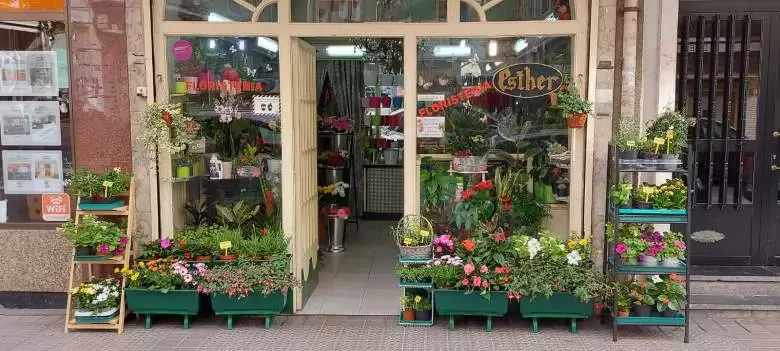 Floristería Esther Begoña Aguirregabiria - Euskal Herria Kalea