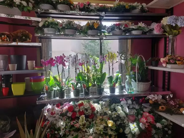 Florístería Santa Gema - 13003 Ciudad Real