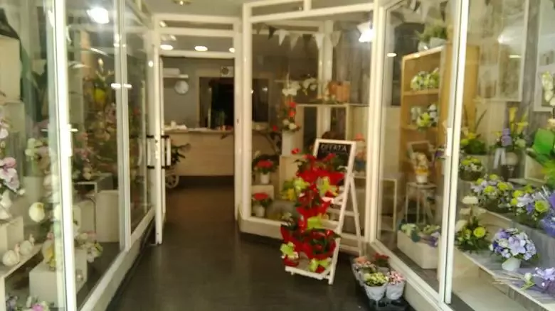 Flors per a tu (RUBI) - Plaza Nova