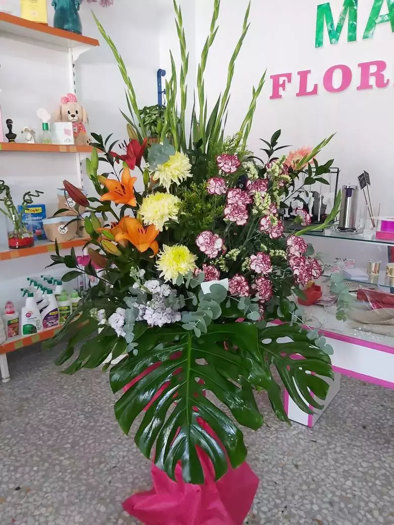 Marjo floristas - 30509 El Llano