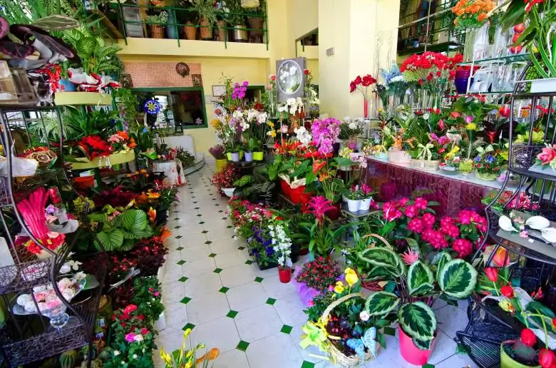 Bardón Floristas - Av. el Castillo