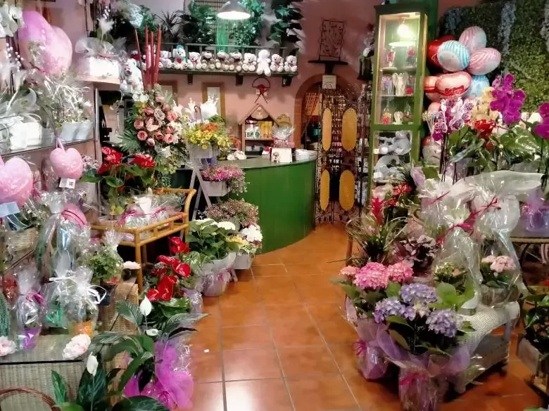 Floristería La Jara V Quinto Centenario - Av. Quinto Centenario