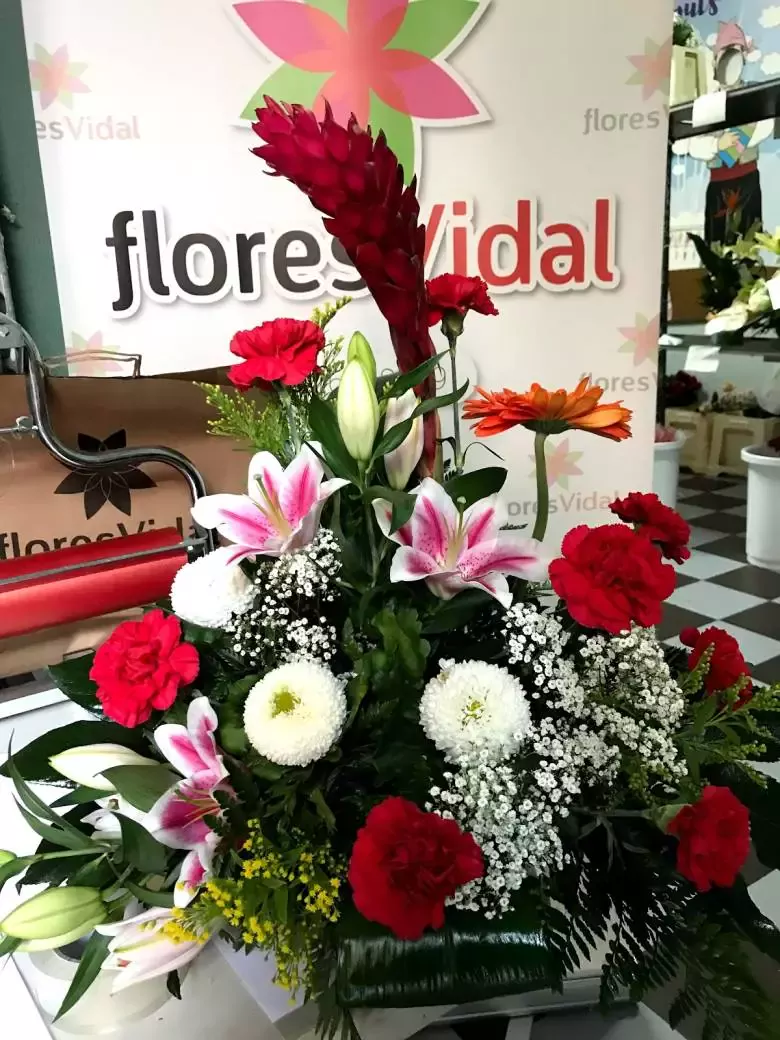 Flores Vidal