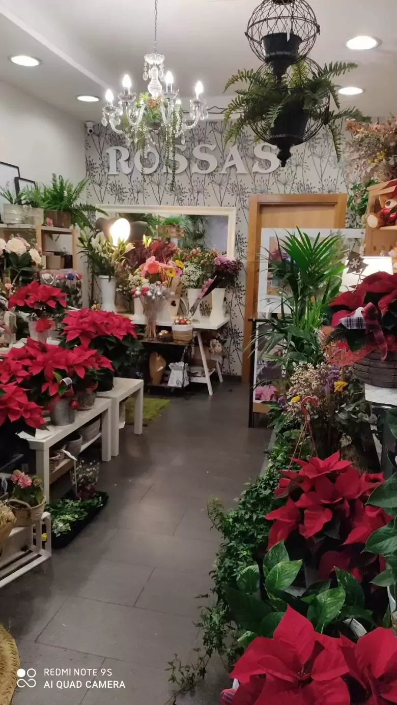 Floristería Rossas Loradenda - Vía Galindo Kalea