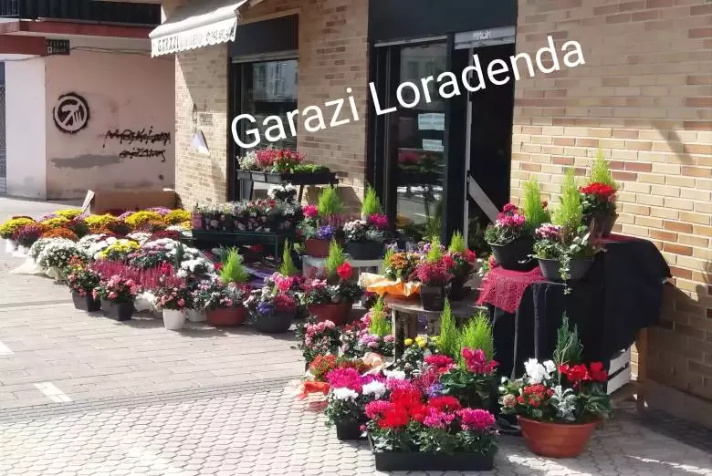 Floristería Garazi - Ernio Bidea