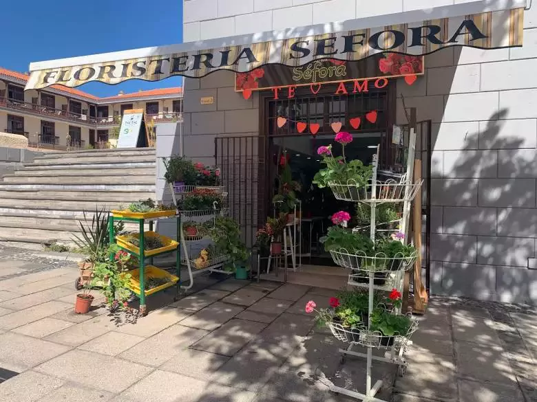 Floristería Séfora - C. Puerto Viejo