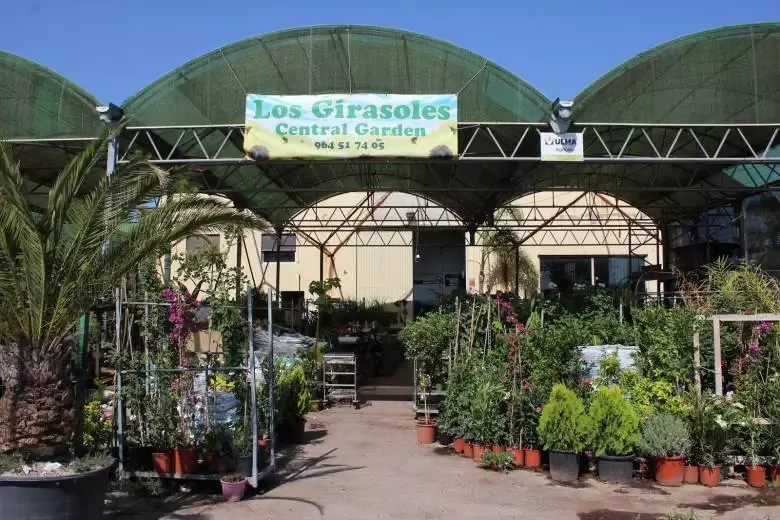 Centre de Jardineria Els Gira-sols - Carretera Viver Borriana