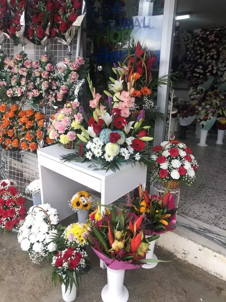 Floristería Riera y Moyano - Av. Carlos Rabassó