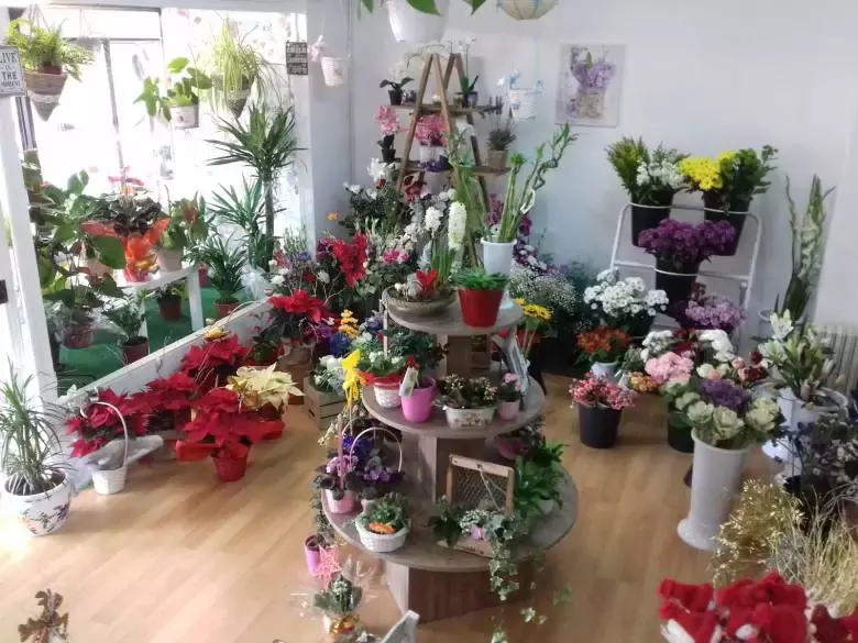 Emma Lezcano floristas - Av. Calvo Sotelo