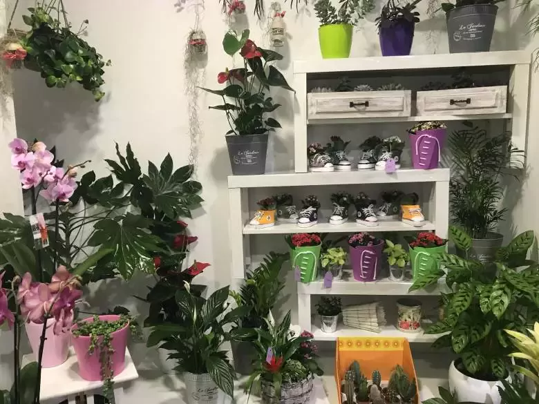 Floristería vístete de flores - Av. Álvarez Guerra