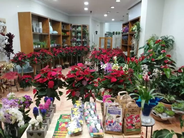 Delirio Floristas y Jardineros - Av. Brañas