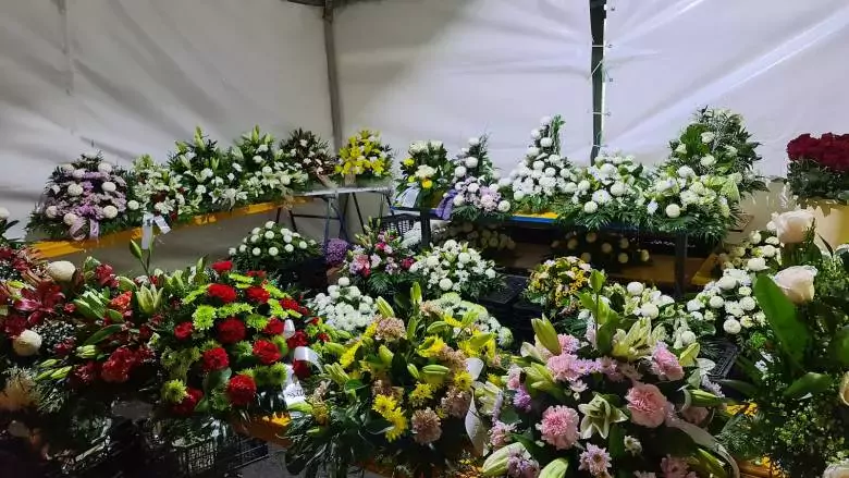 Floristas Carmiña - Av. da Maía