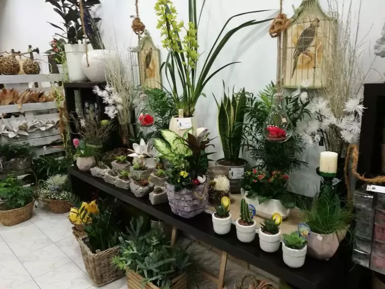 Floristería Muskari - Piedad Kalea