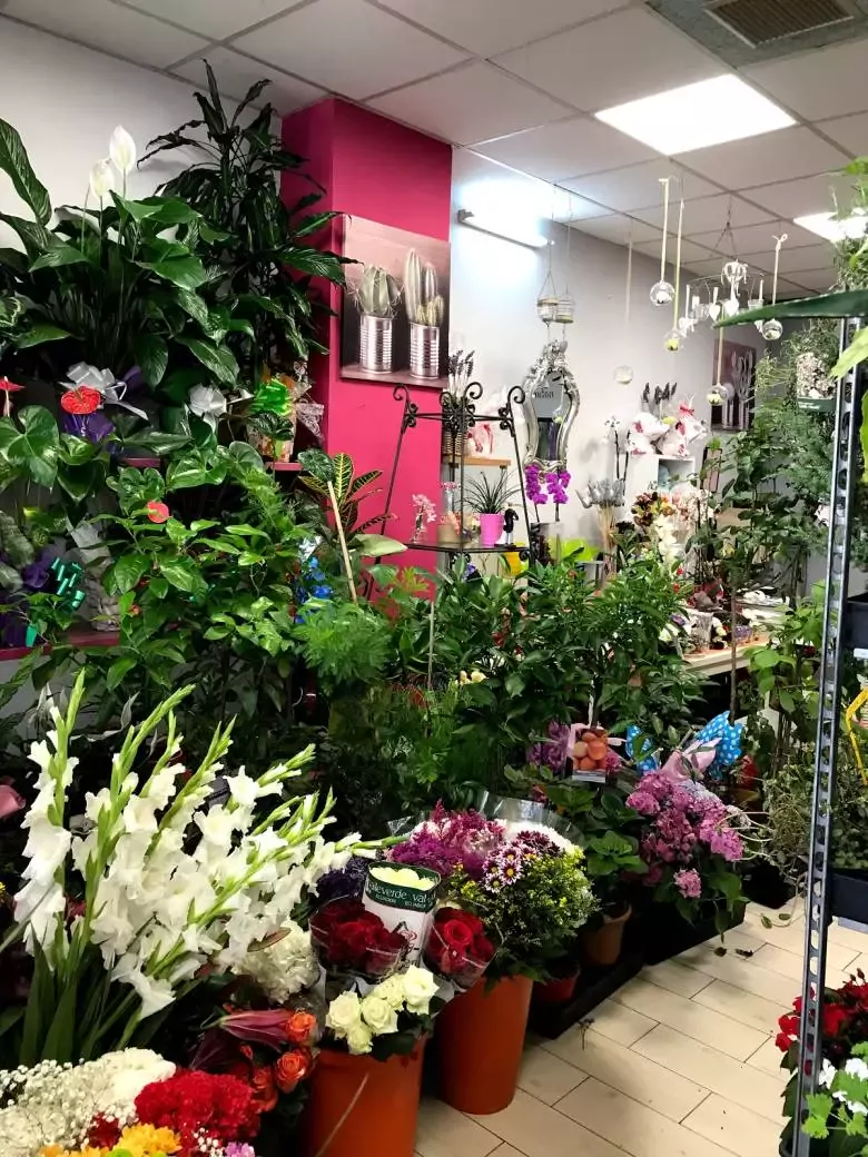 Floristería Kentia - Av. Luis de la Concha