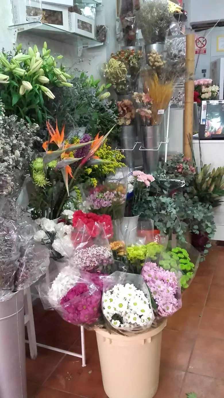 Concha Candela Arte Floral - C. Niebla