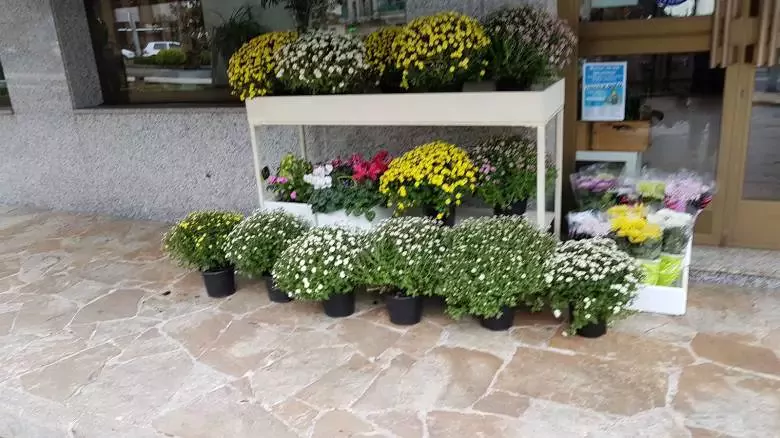 Xulian Floristería - Av. da Grabanxa