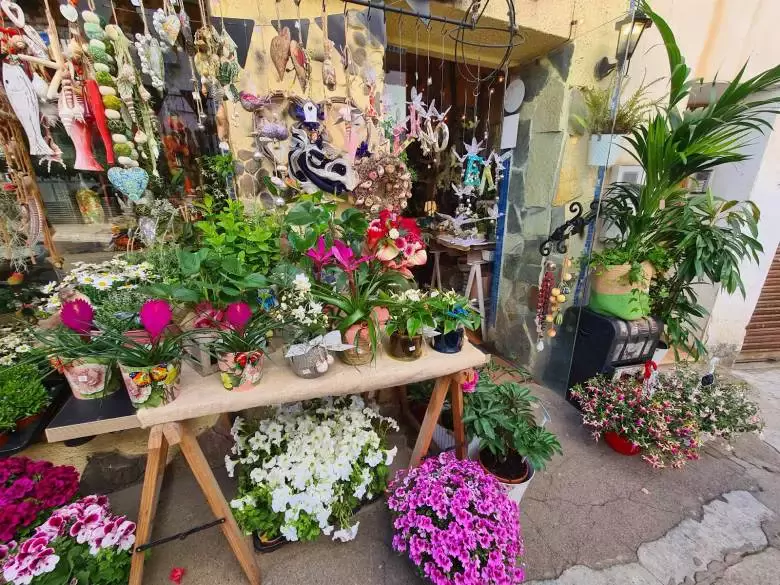 Floristería Sílvia Gasull - Pujada de Sant Pau