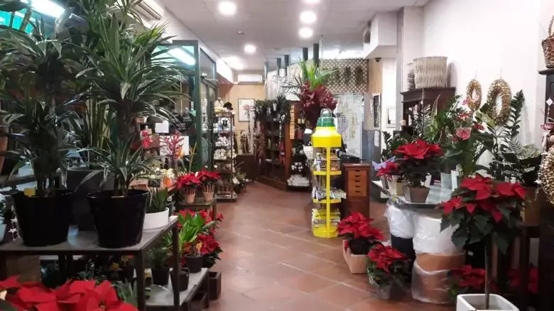 Magnòlia Art Floral - Av. del Carme