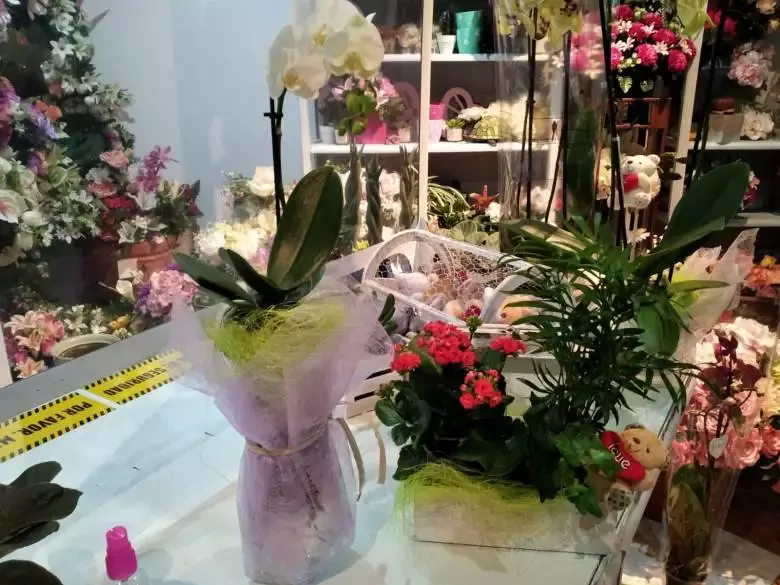 Floristería Romero - C. de Aniceto Utrera