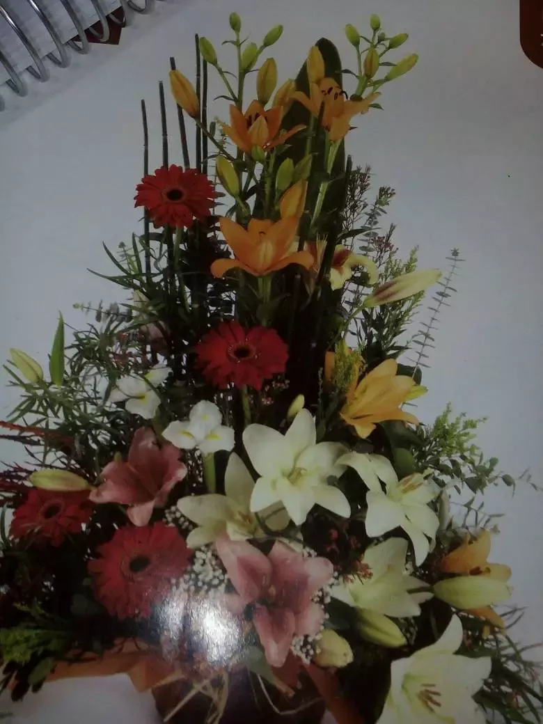 Floristería Petalos - Av. da Mariña