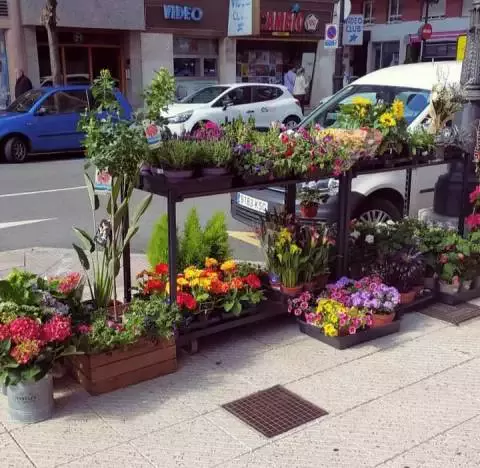 Bohemia Flores & Plantas - Av. de Colón