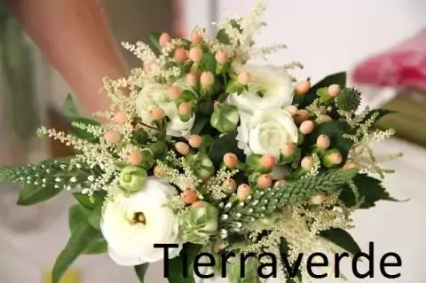 Floristería Tierra Verde