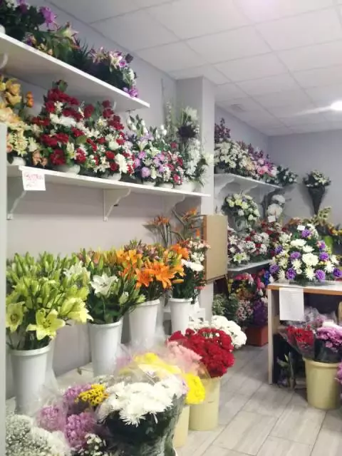 Floristería Musgo