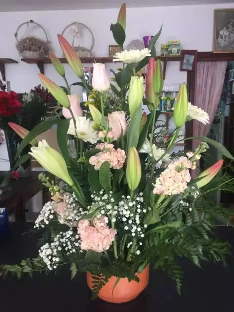 Floristería Los claveles - C. Gral. García de la Herrán