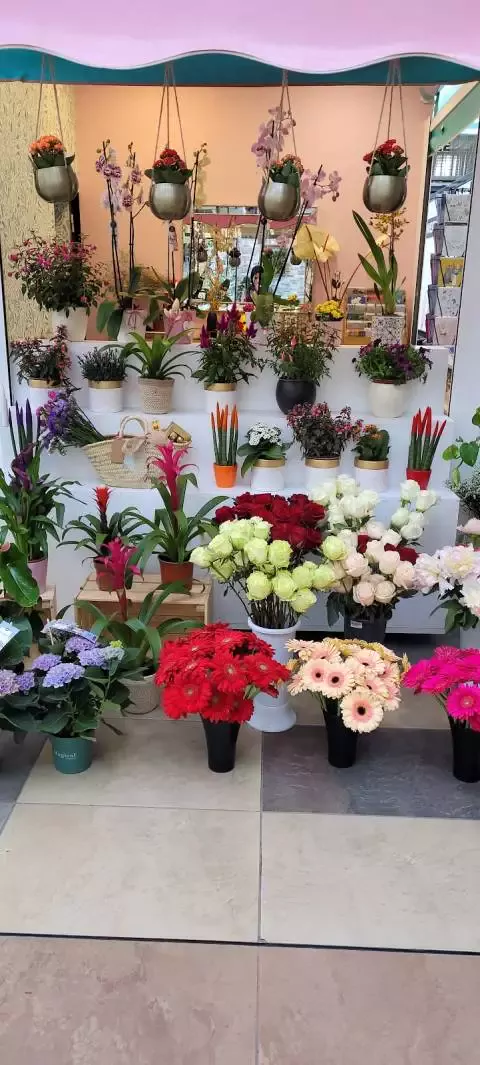Bloom flower shop