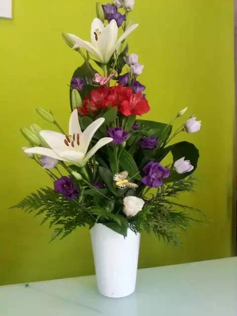 Floristería Nenufar