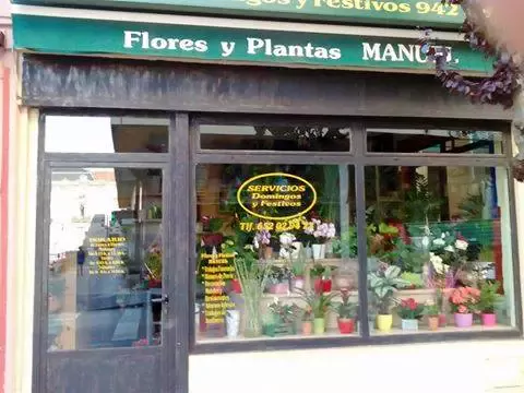 Flores Manuel