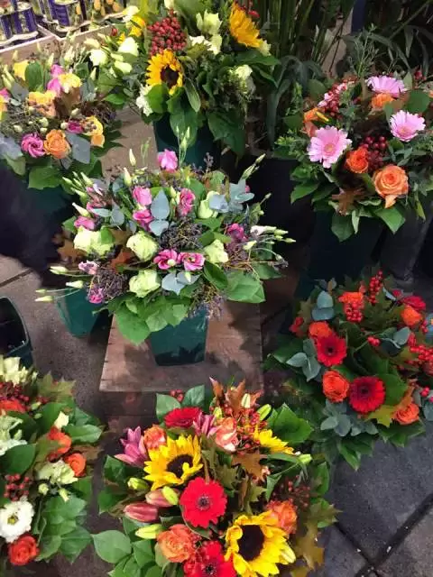 Floristería San Carlos