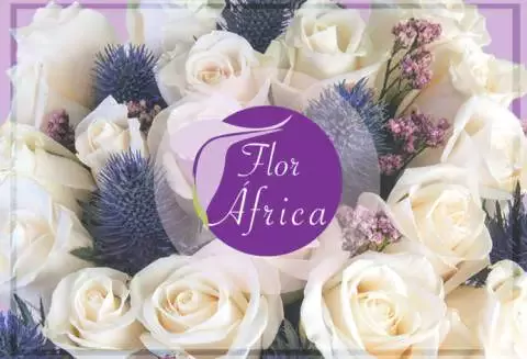 Flower florist Africa - C. de la Resina